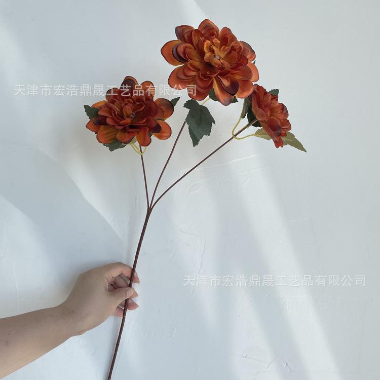 微信图片_202208111652101_副本
