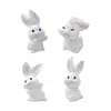 Figuras de Zanahoria y Conejo Lindas para Paisaje en Miniatura, Accesorios de Decoración DIY para Casa de Muñecas, Adornos de Escritorio Mini