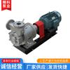 Industria de Bombas de Jiangsu Bomba de Mezcla Magnética de Líquido-Gas Cqyb Alto Flujo Autocebante Preparación de Agua con Ozono Bomba Magnética de Flotación de Aire