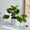 Plantas Verdes Simuladas, Plantas en Maceta, Flores Simuladas, Adornos para Decoración del Hogar, Accesorios para Fotografía, Flores Falsas, Flores Artificiales, Bonsáis Simulados
