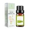 Humidificador de Aceite Esencial de Aromaterapia Cuadrado Único Máquina de Aromaterapia Aromaterapia Interior para el Hogar Planta Especial para Dormitorio Menta Verde Perfume Soluble