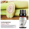 Exportación Transfronteriza Aceite Esencial Individual Fragancia Aromaterapia Masaje Aceite Esencial Sándalo Difusor Mayoreo Muestra de 10 ml