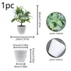 Planta Verde Artificial en Maceta Crisantemo y Helecho Espárrago Flores Falsas para Decoración de Escritorio de Sala de Estar y Oficina, Plantas Artificiales Pequeñas de Alta Gama en Maceta