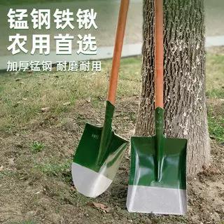 绿白头锹