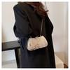 Bolso de Mujer Transfronterizo Bolso de Noche Bolso de Hombro de Cadena de Lentejuelas Diseño Nicho Bolso Cruzado Bolso de Noche para Fiesta de Banquete Bolso de Mujer