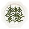 Hoja de crisantemo de azufre, flor natural real, material en relieve, pegamento en gota, flor seca, funda para teléfono móvil, planta de bricolaje, espécimen didáctico