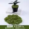 Simulação transfronteiriça musgo musgo artificial atacado diy mesa de areia planta paisagem gramado artificial planta parede de flores decoração