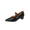 Sapatos femininos Mary Jane elegantes para o dia a dia, em couro de carneiro curtido vegetal, com aumento interno de altura, bico fino de salto médio, tira única, couro legítimo, coleção outono 2026