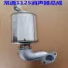 Motor diesel monocilíndrico Silenciador de aço inoxidável 180 195S1105ZS1115 15 cavalos de potência Acessórios de silenciamento