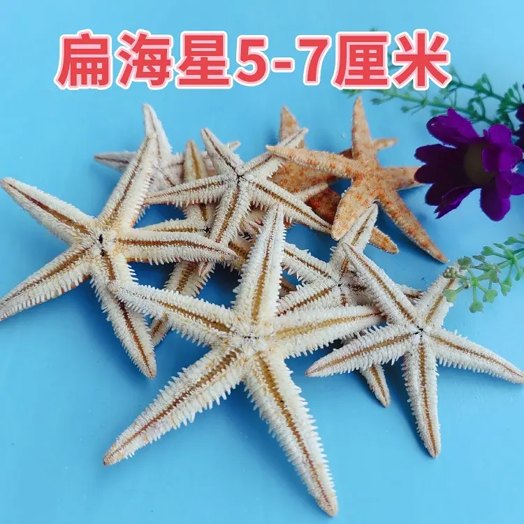 MEITU_20240730_174818430