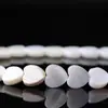 Concha de Agua Dulce Natural Corazón Trébol de Cuatro Hojas Cuentas Sueltas DIY Pulsera de Pareja Collar Regalo Joyería de Regalo Venta al por Mayor