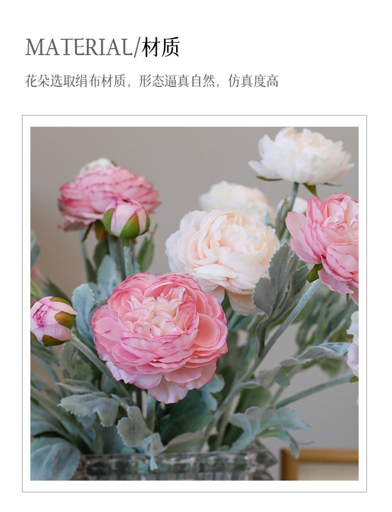 3头梦柏露莲_02