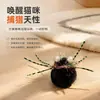 Caña de Juguete para Gatos con Cabeza Intercambiable: Diseños Simulados de Libélula e Insectos, Entretenimiento Propio, Caña Extensible, Juguete de Caña con Plumas para Gatos Hada