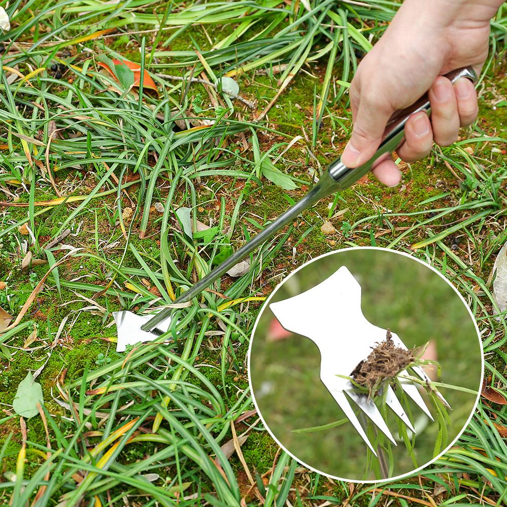 微信图片_20240326172852