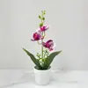 Flores Phalaenopsis Simuladas 3 Vasos Escritório Sala de Estar Arranjo de Flores de Mesa Bonsai Fotografia Ornamentos de Flores Artificiais de Plástico