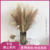 Fabricantes de Yunnan, ramo de flores secas con batidor, decoración de bodas, materiales de boda, accesorios de tiro, flores secas con batidor natural, venta al por mayor