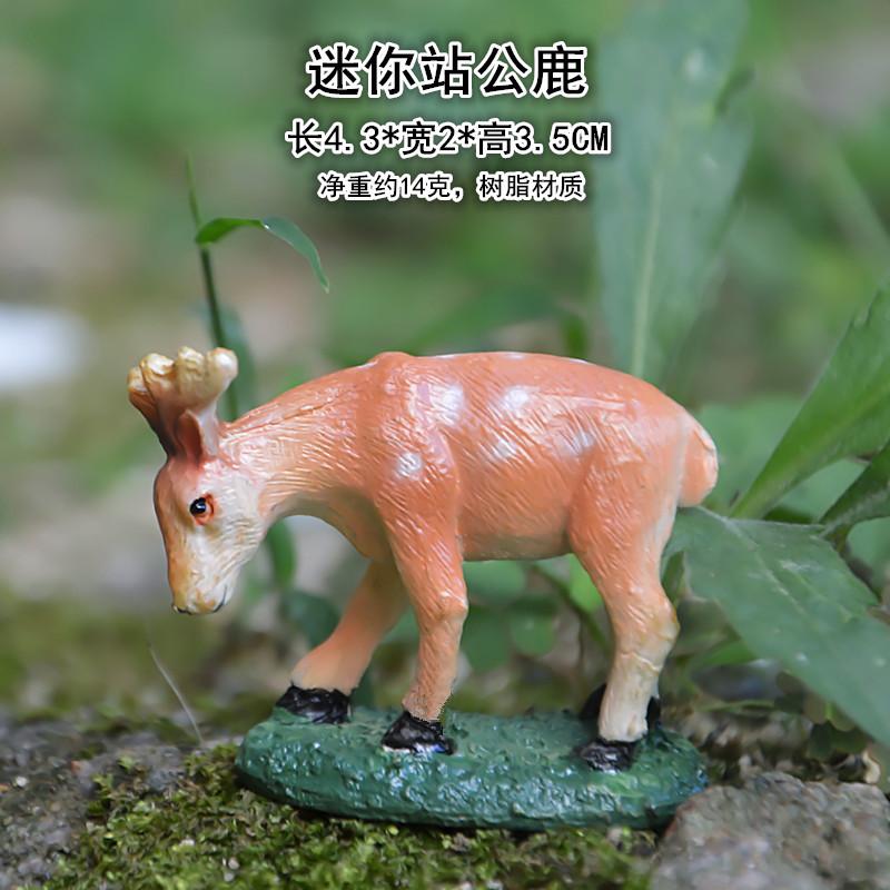 站公鹿.jpg