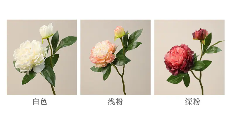 可留斯2头牡丹_04.jpg