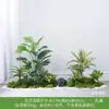 Planta Artificial Empilhada para Paisagismo Sob Escada, Samambaia & Pteri