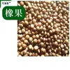 Materiales medicinales chinos Bellota Bellota Bellota Fruto del Roble Bellota Fruto del Roble Castaño Zuozi Qinggangzi Jabonera