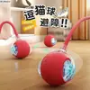 Bola Brinquedo para Gato, Bola de Auto-Prazer, Pelo de Gato Pet para Aliviar o Tédio, Bola para Gato, Brinquedo para Gato, Brinquedo para Pet Venda Direta da Fábrica
