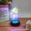 Flor Preservada em Acrílico Rosa com Folha de Ouro e Lâmpada LED Quente Presente de Dia dos Namorados Presente de Aniversário Fornecimento Transfronteiriço