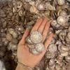Noz de Areca Medicinal Chinesa Fatias de Noz de Areca Especiaria Noz de Areca Fatias de Noz de Areca de Hainan Fabricantes Atacado Uma Geração de Gordura