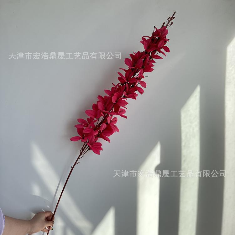 微信图片_202303181613188_副本