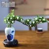 Bonsai Neve de Junho Flor Vermelha de Penhasco Mesa de Chá Zen Janela Interna Pequena Planta Verde Mesa de Café de Escritório Planta em Vaso de Mesa