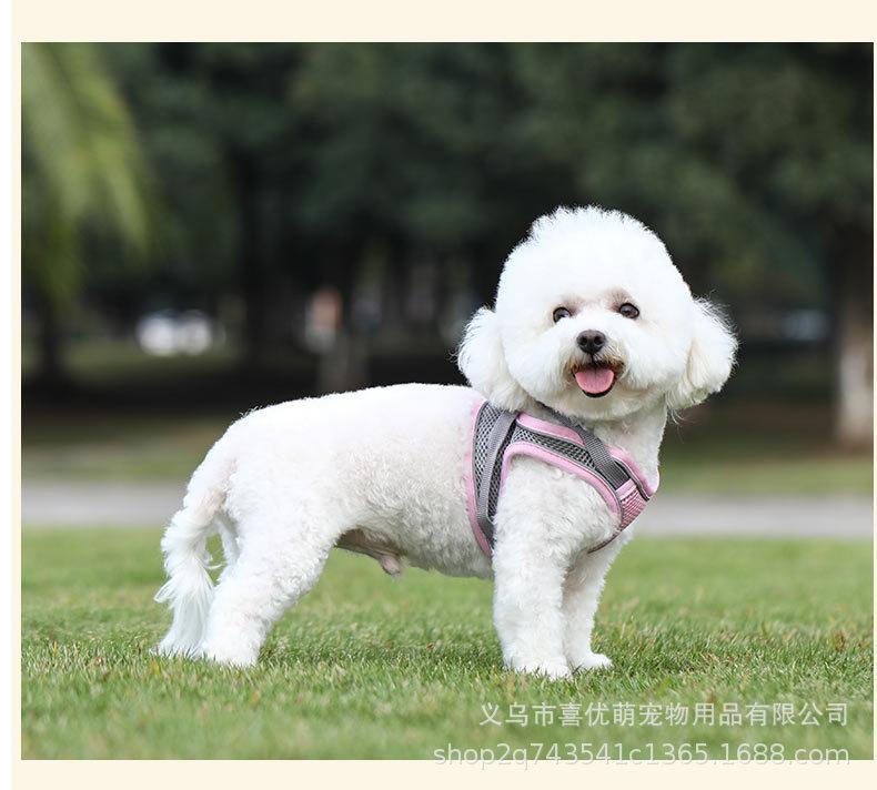 狗绳_11.jpg