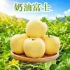 Manzanas Fuji Cream de Shandong al por mayor y entrega 3/5 libras Fruta grande de 75 mm Dulce y crujiente Manzanas amarillas de temporada Fruta fresca