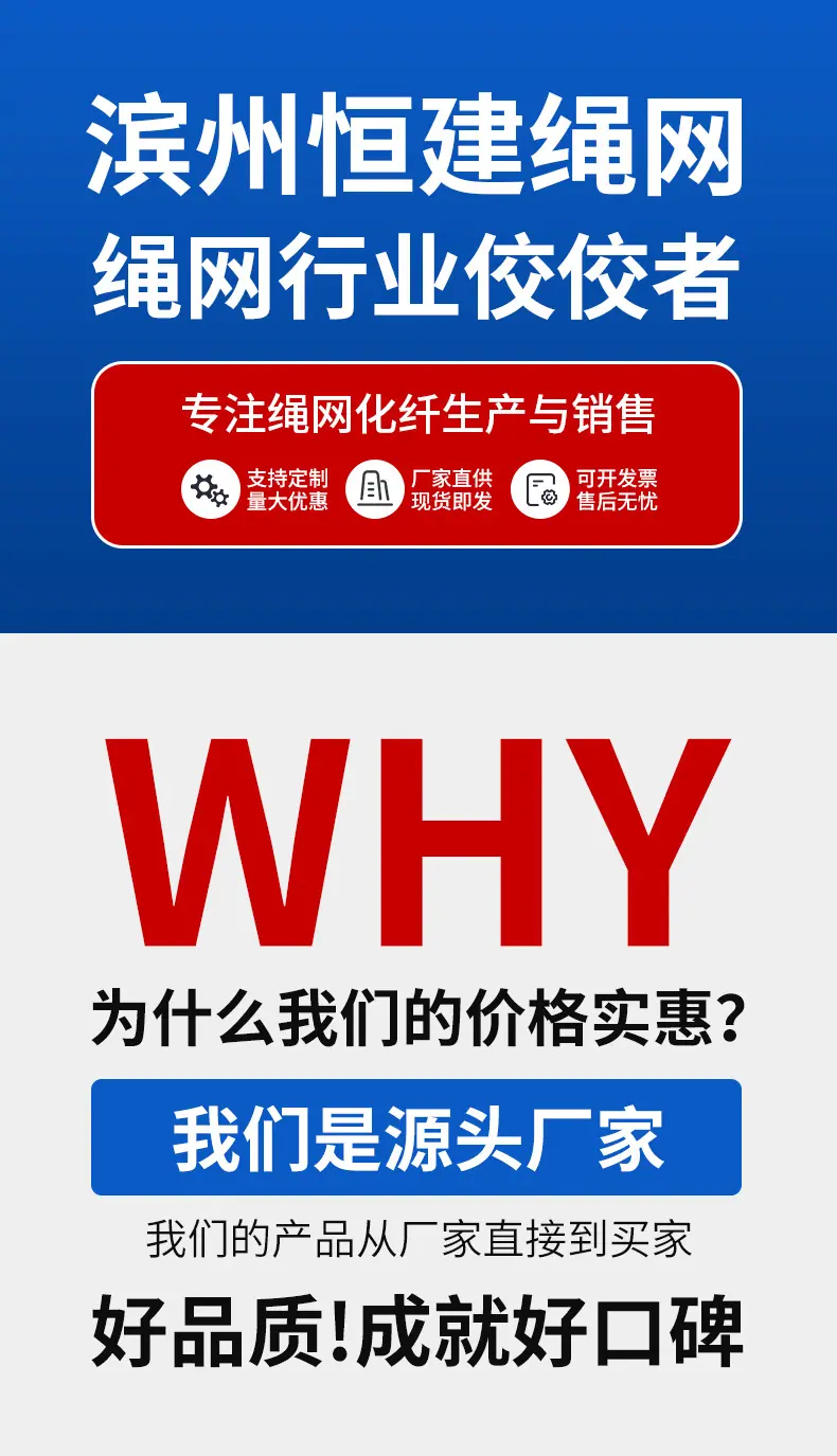 安全带_01