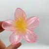 Grampo de Cabelo Flor de Frangipani Gradiente para Mulheres, Pente para Parte de Trás da Cabeça, Grampo de Cabelo Estilo Férias Praia Litoral
