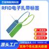 Etiquetas de Abraçadeira de Cabo Digital RFID para Rastreamento de Inventário de Produtos de Calçados e Vestuário Descartáveis de Plástico Etiquetas Inteligentes RFID