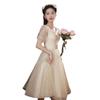 Vestido de Noite Cor Champagne para Mulheres, Nicho de Alto Nível, Luxo Leve, Sensação Sofisticada, Adequado para Anfitriãs de Festa de Aniversário, Figura Petite