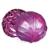 Semillas de col morada al por mayor, semillas de col, semillas de verduras, plántulas, semillas de col morada, col de cabeza, col de cabeza grande