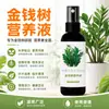 Não é necessária diluição Solução nutritiva especial Money Tree Folhas amarelando fertilizante de folhagem Vasos de plantas Money Tree fertilizante especial