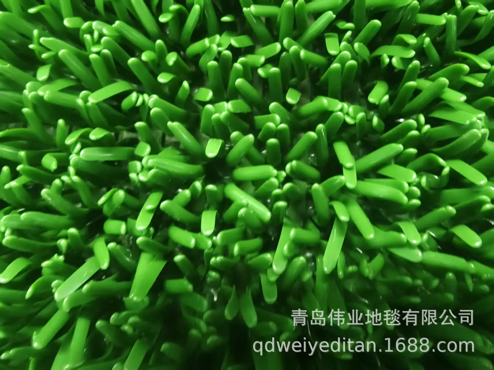 加粗加长粘金草加密增金布沾金毯河沙选金淘金草粘金草