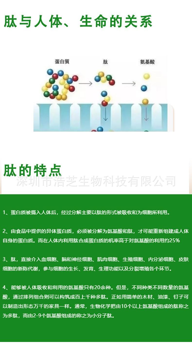 121详情-肽与人体.jpg