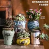 Vaso de flor de suculenta em cerâmica com prato, oferta especial, diâmetro grande, tamanho grande, vaso criativo para suculentas de casa