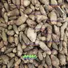 Nuez de Areca Nuez de Areca Entera Nuez de Areca No Masticable Fruta Negra de Nuez de Areca (Humo Negro) Nuez de Areca Ginkgo (Humo Blanco)