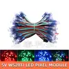 Cadena de Luces LED Ws2811 Impermeable Rellena de Pegamento Color Completo 12mm Luz Expuesta 5V Luz Perforada Colorida para Decoración y Letreros Luminosos