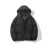 Jaqueta Masculina de Algodão 2024 Inverno Nova Corte Solto com Capuz Cor Sólida Acolchoada Quente Casaco Puffer de Casal