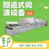 Equipo de Secado y Deshidratación por Microondas para Medicina Tradicional China Tipo Túnel Liwei Secador Grande para Materiales Medicinales Equipo de Secado