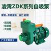 Bomba de água Lingxiao 1.5ZDK-20 / 2zdk -20 / 1zdk -14/20 bomba autoescorvante de grande fluxo irrigação agrícola