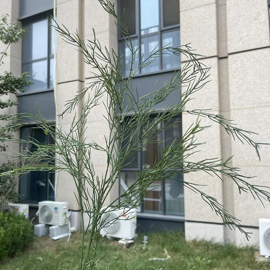 7# 34草喷色芦荀草-黑绿 3元.JPG