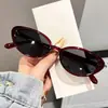 Gafas de Sol Retro Ojo de Gato para Mujer Versátiles de Moda Gafas de Estilo Sensación de Alta Gama Adelgazantes de Rostro Gafas de Sol con Protección UV Hombres
