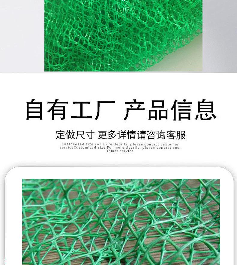 三维植被网_04.jpg