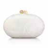 Bolso Nuevo Transfronterizo para Mujer Bolso de Noche Acrílico de un Solo Hombro Cruzado para Fiesta Cadena Concha de Lujo Ligero Clutch Bolso de Noche