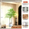 2026 Planta Verde Artificial Nandina Planta em Vaso Alto Padrão Luxo Leve Decorativa para Chão de Sala de Estar Flor Árvore Artificial Grande